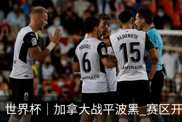 世界杯｜加拿大战平波黑 赛区开幕式表演“翻车”
